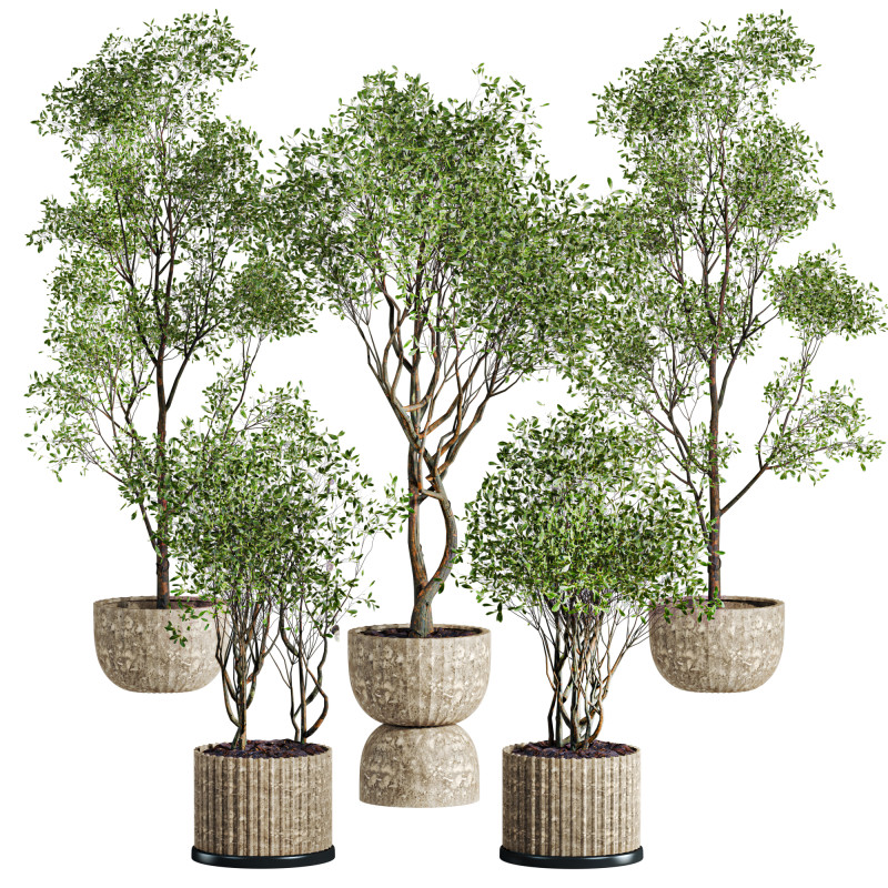 Tree plants set Model 3D .c4d .max .obj .3ds .fbx .stl .blend