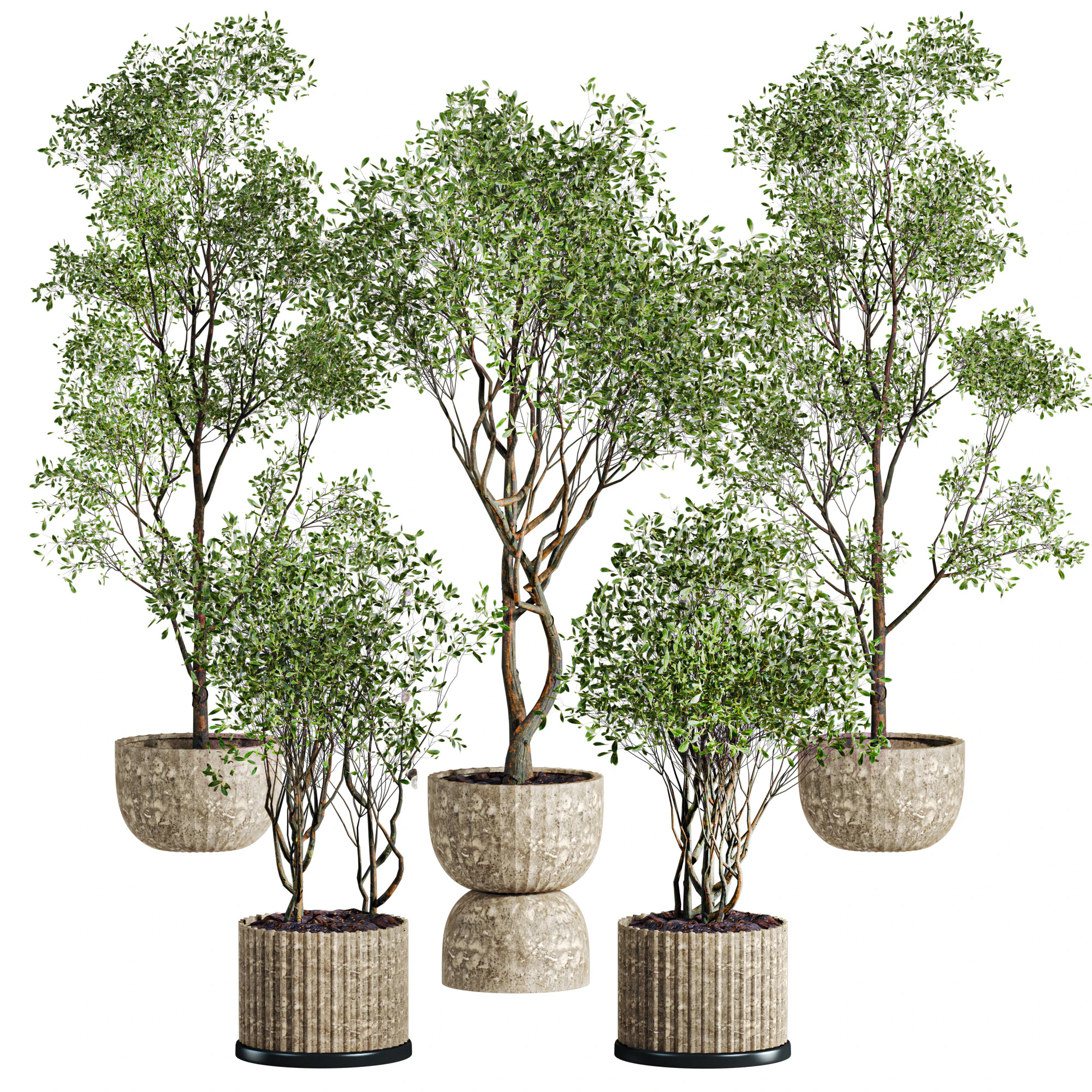 Tree plants set 3D Model .c4d .max .obj .3ds .fbx .stl .blend 