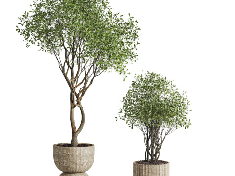 Tree plants set Model 3D