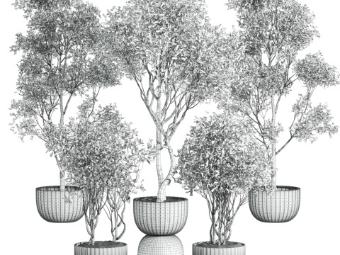Tree plants set Model 3D