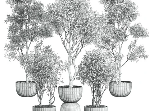 Tree plants set 3D Model