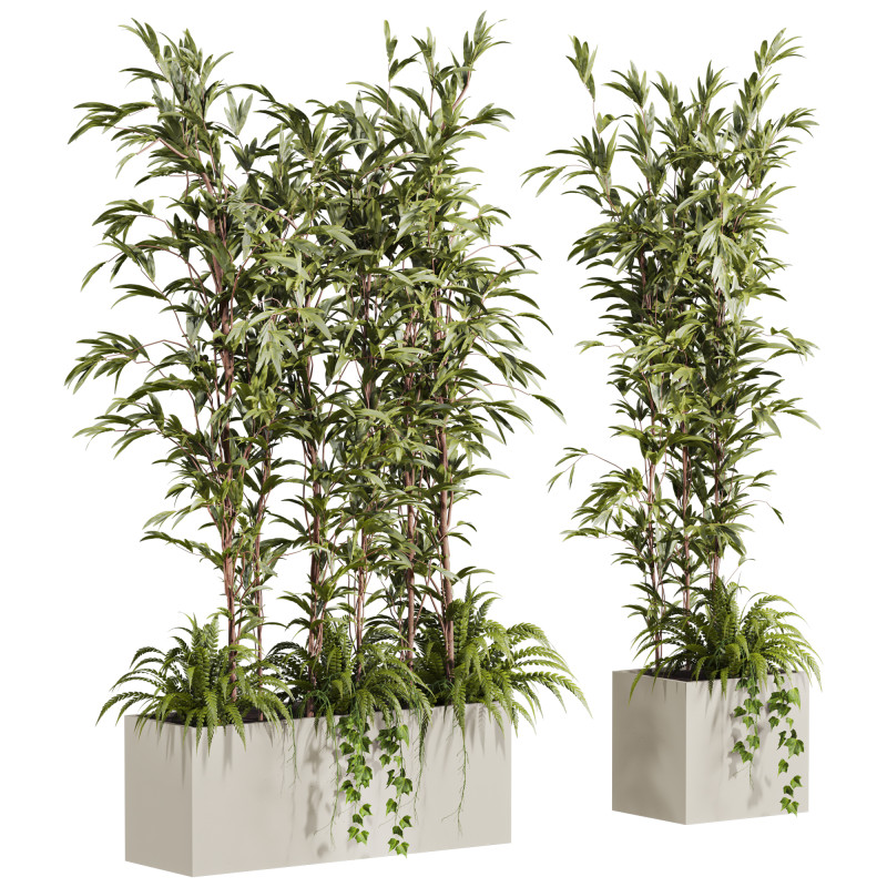 Plants set 3D Model .c4d .max .obj .3ds .fbx .stl .blend