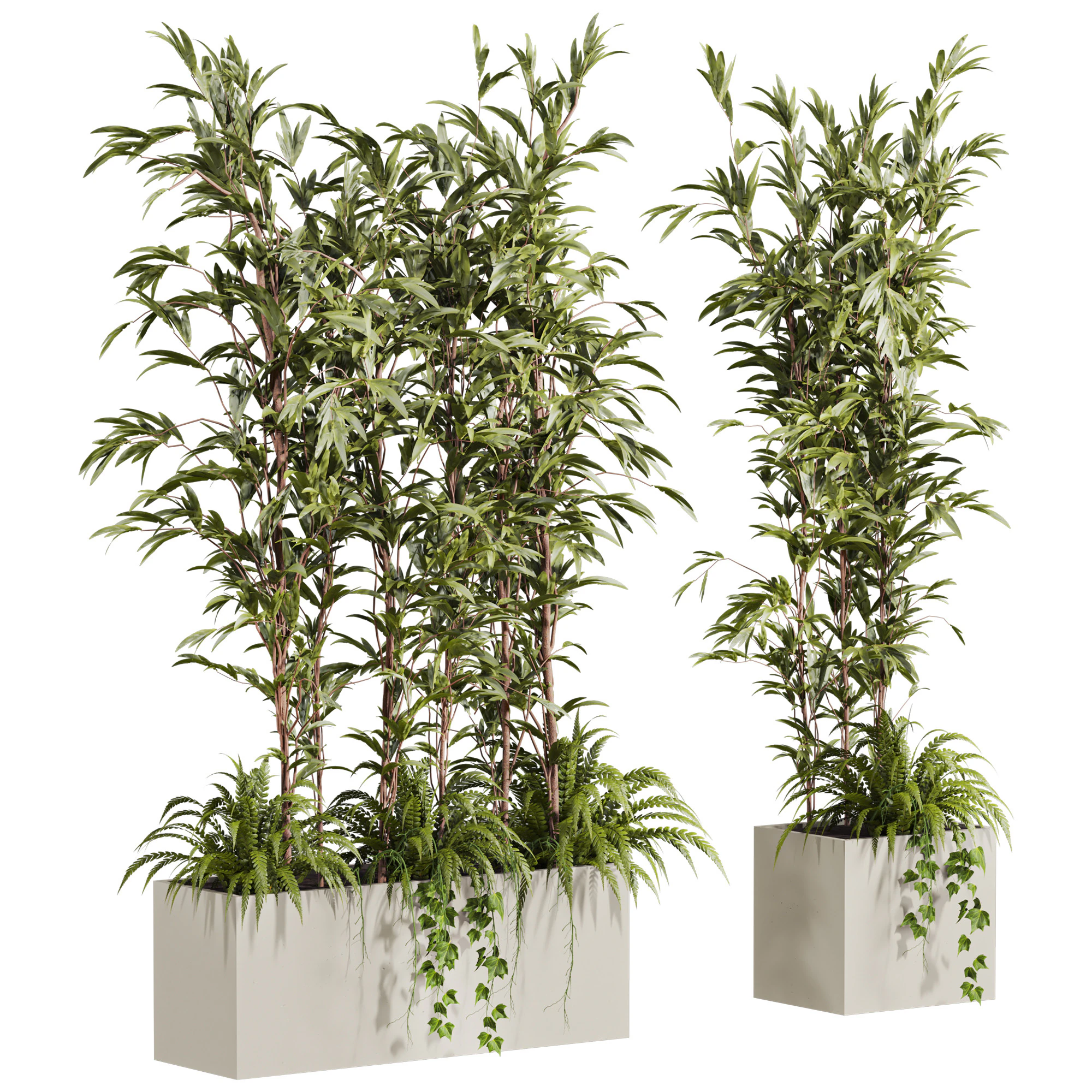 Plants set 3D Model .c4d .max .obj .3ds .fbx .stl .blend 
