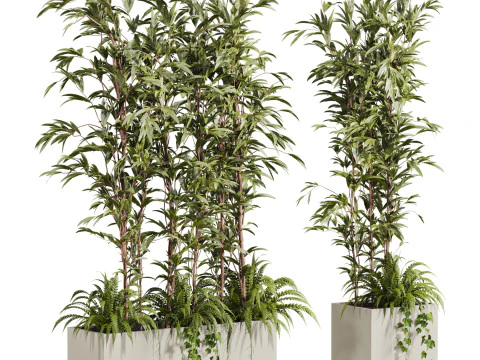 Ensemble de plantes Modèle 3D