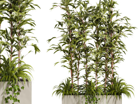 Plants set 3D Model