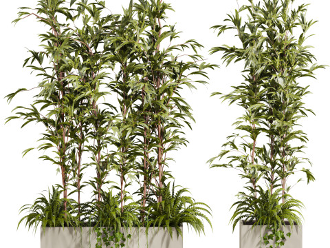 Plants set 3D Model