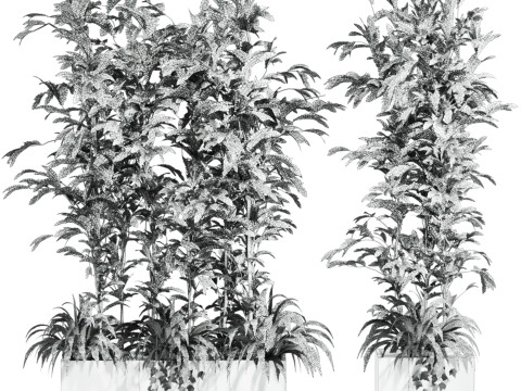 Plants set 3D Model