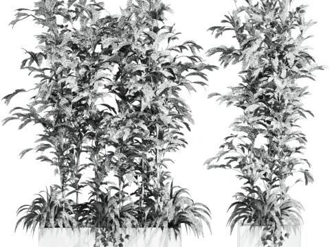 Plants set 3D Model