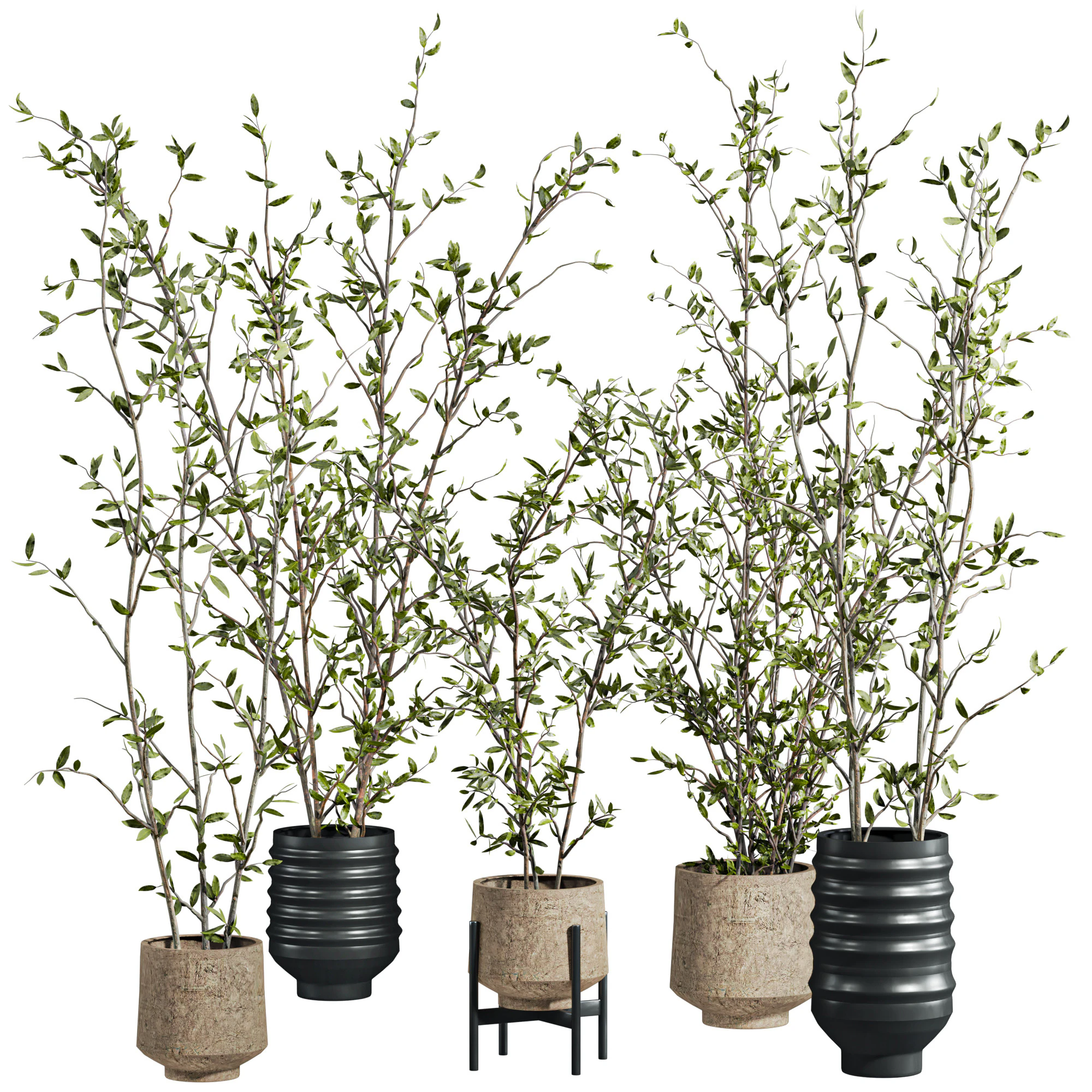 Plants set 3D Model .c4d .max .obj .3ds .fbx .stl .blend 