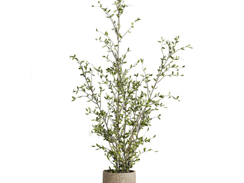 Plants set Modèle 3D