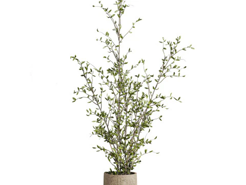 Plants set 3D Model