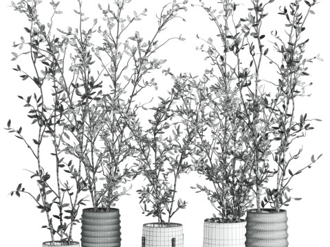 Plants set Modèle 3D