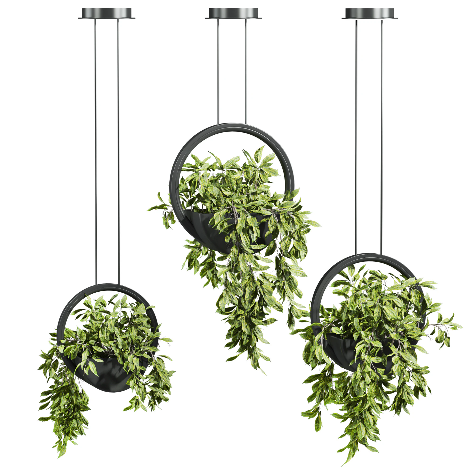Plants set 3D Model .c4d .max .obj .3ds .fbx .stl .blend 
