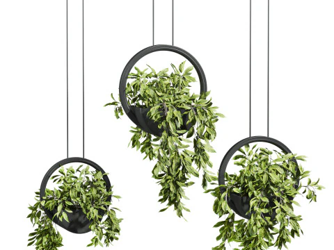 Zestaw roślin Model 3D