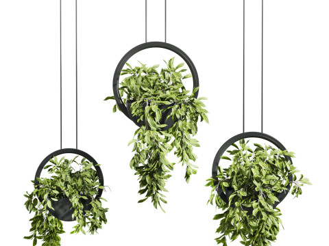 Plants set 3D 모델