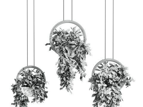 Plants set 3D 모델