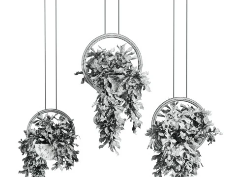 Plants set 3D Model