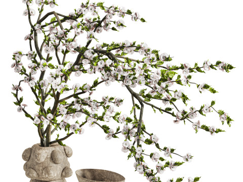 Bouquet Modèle 3D