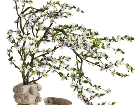 Bouquet 3D Model