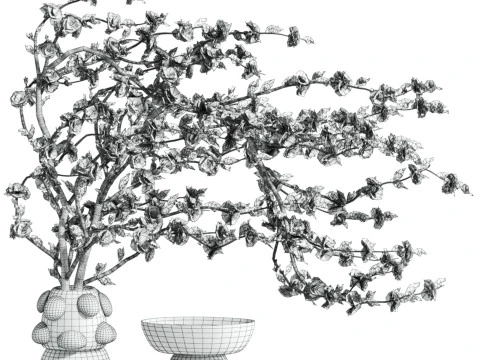 Bouquet 3D Model
