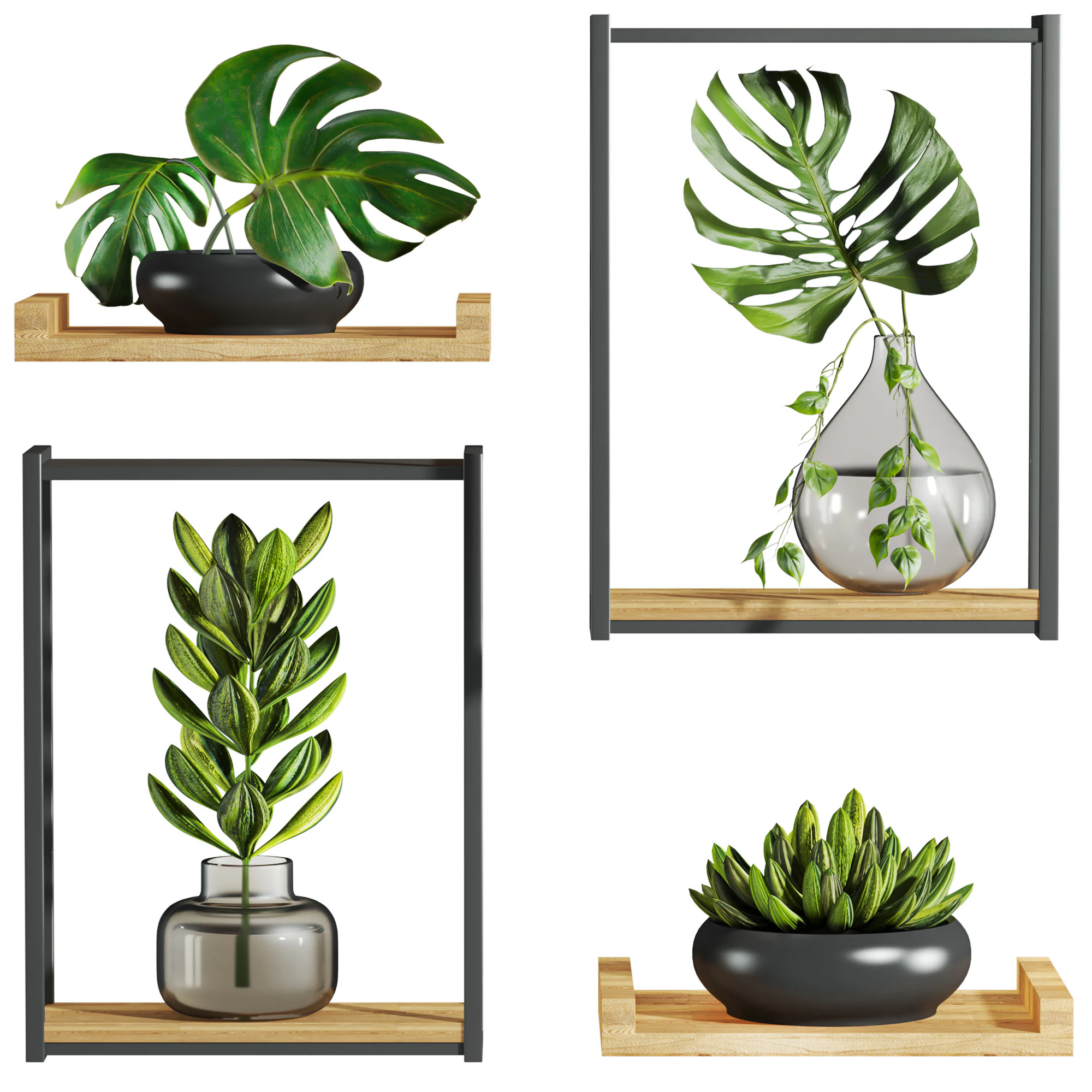 Plants set 3D Model .c4d .max .obj .3ds .fbx .stl .blend 