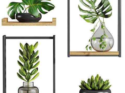 Plants set Modèle 3D