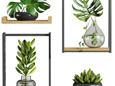 Insieme delle piante Modello 3D