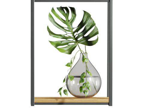 Plants set 3D Model