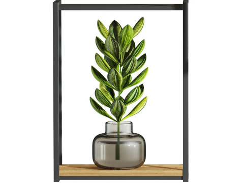 Plants set 3D Model