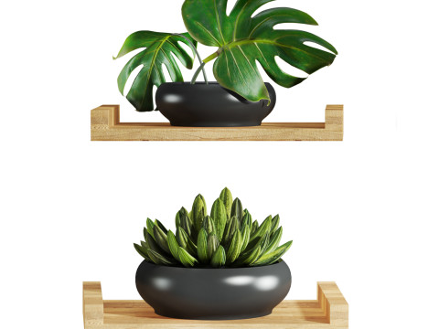 Plants set Modèle 3D