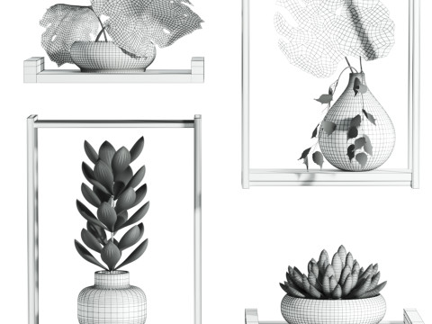 Plants set Modèle 3D