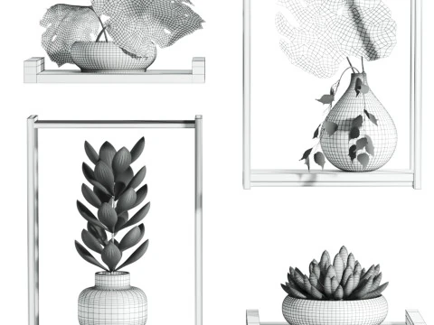 Plants set 3D Model