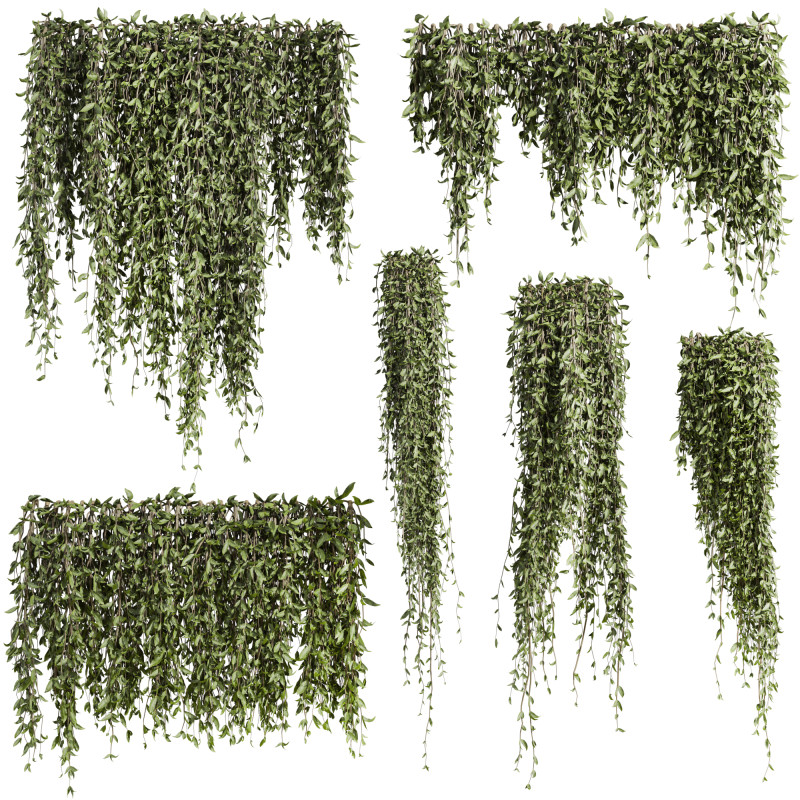 Ivy plants 3D Модель .c4d .max .obj .3ds .fbx .stl .blend