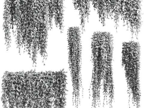Ivy plants 3D Модель