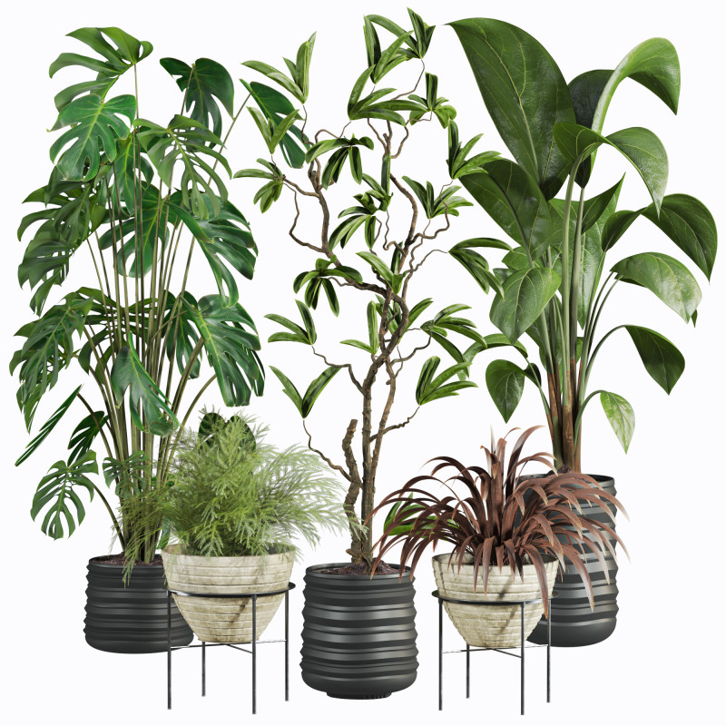 Plants set 3D मॉडल .c4d .max .obj .3ds .fbx .stl .blend