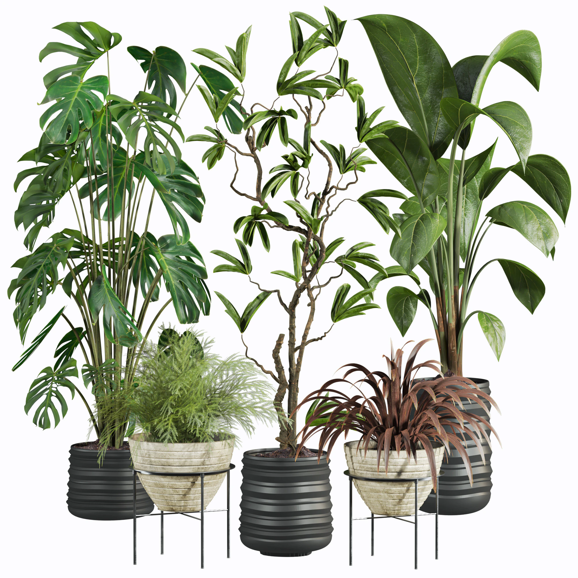 Plants set 3D Model .c4d .max .obj .3ds .fbx .stl .blend 