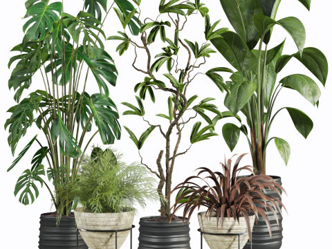Conjunto de plantas Modelo 3D