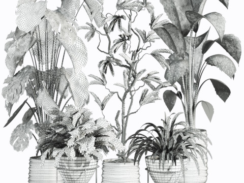 Plants set 3D मॉडल