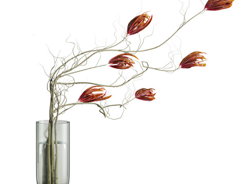 Bouquet 3Dモデル