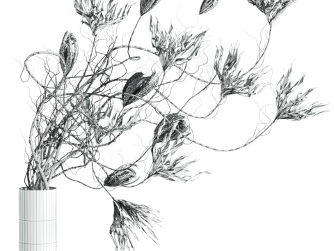 Bouquet 3Dモデル