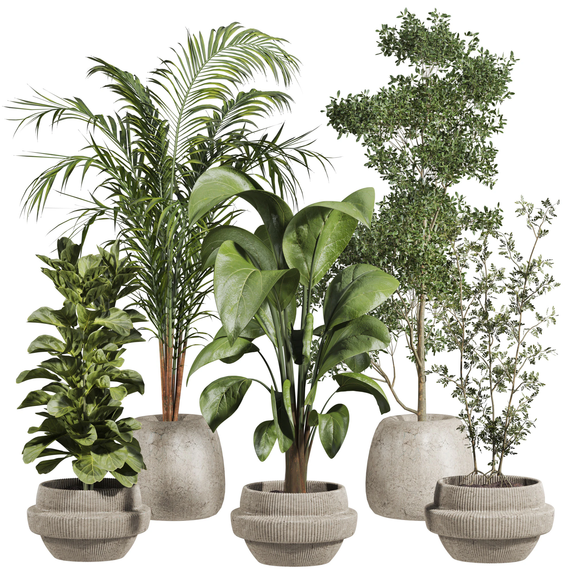 Indoor potted plants set 3D Model .c4d .max .obj .3ds .fbx .stl .blend 