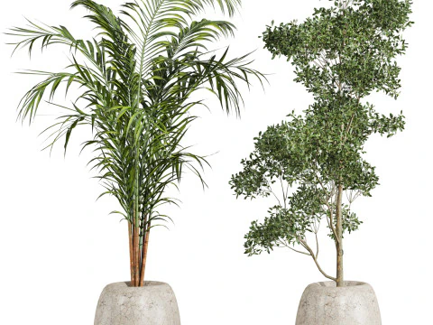 Indoor potted plants set 3D Model