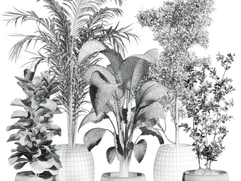 Indoor potted plants set 3D Model