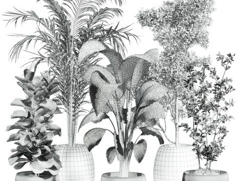 Indoor potted plants set 3D Model