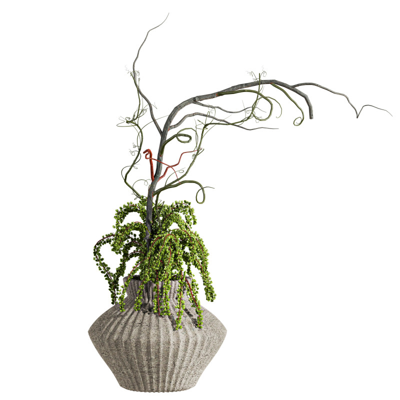 꽃다발 3D 모델 .c4d .max .obj .3ds .fbx .stl .blend