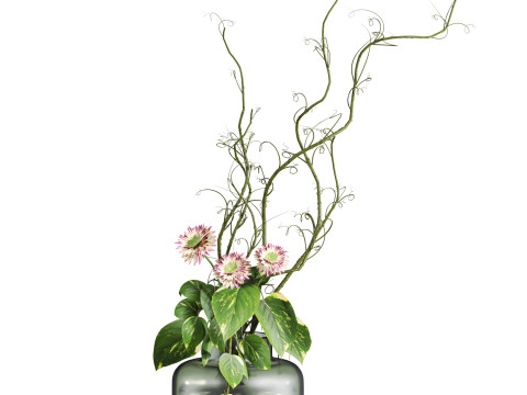 Букет 3D Модель