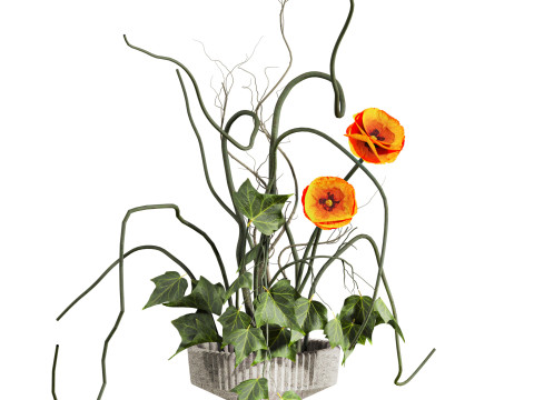 Букет 3D Модель