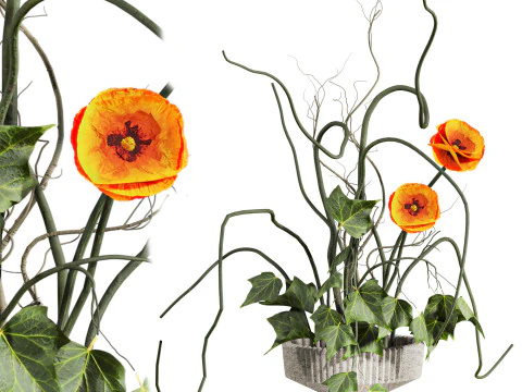 Bouquet 3D Model
