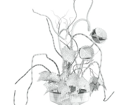 Bouquet 3D Model