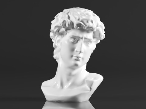 Cozylkx 114 Inch Premium Resin Greek Michelangelo David Bust Statue Replica Sculpture Home Art Deco 3D-Druckmodell